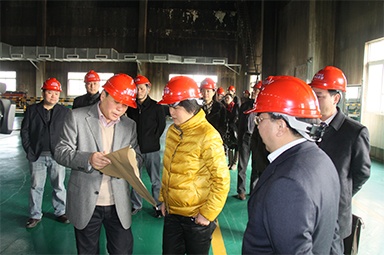 2012年1月31日，時(shí)任嘉興市委書記魯俊率領(lǐng)市發(fā)改委等市級部門負(fù)責(zé)人到公司調(diào)研