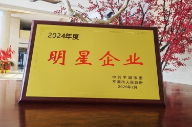 新春新景新氣象 | 景興紙業(yè)在平湖三干大會上喜摘榮譽！